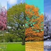 Lawn care and landscape design in Apollo, PA